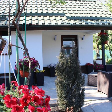 Casuta Artistilor Βίλα Breaza  Εξωτερικό φωτογραφία